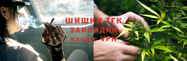 тгк Алексин