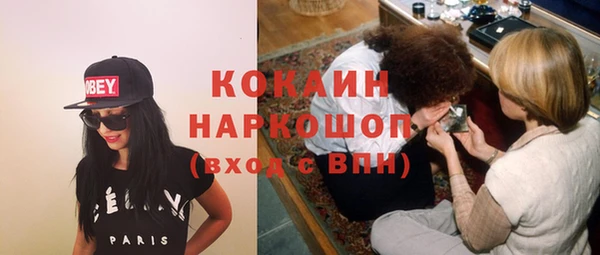 крисы Ачинск