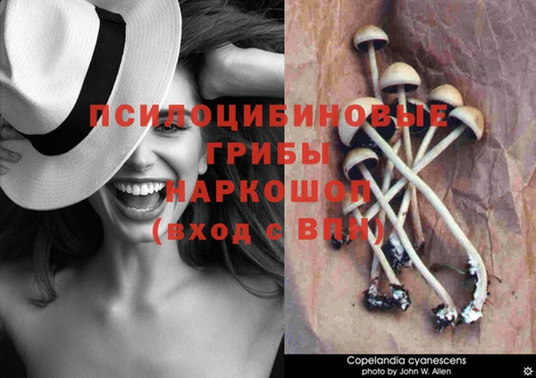 стафф Алексеевка