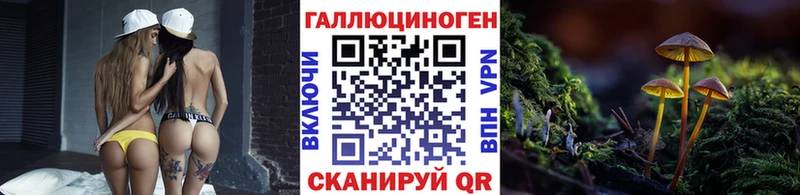 наркота  Куровское  Галлюциногенные грибы GOLDEN TEACHER 